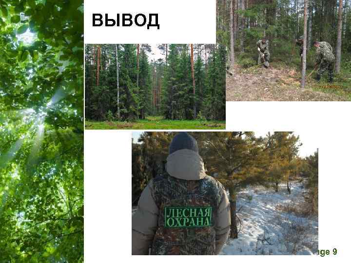 ВЫВОД  Free Powerpoint Templates      Page 9 
