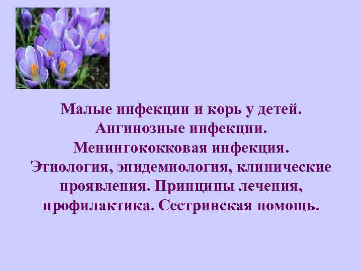   Малые инфекции и корь у детей.   Ангинозные инфекции.  Менингококковая