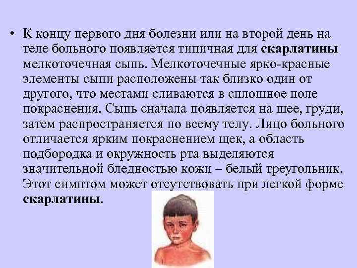  • К концу первого дня болезни или на второй день на  теле