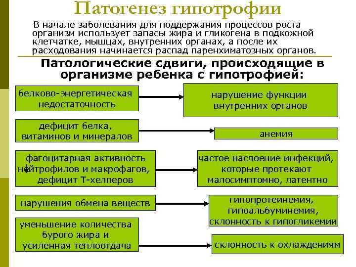    Патогенез гипотрофии  В начале заболевания для поддержания процессов роста 