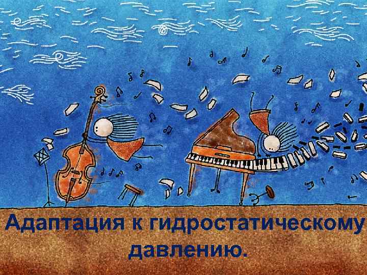 Адаптация к гидростатическому  давлению. 