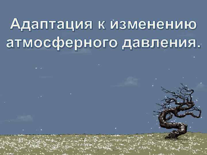 Адаптация к изменению атмосферного давления. 