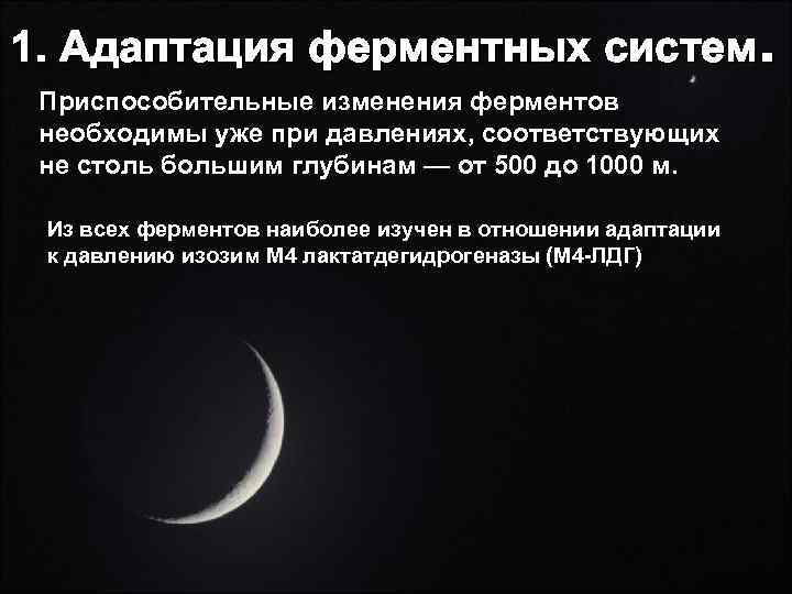 1. Адаптация ферментных систем.  Приспособительные изменения ферментов необходимы уже при давлениях, соответствующих не