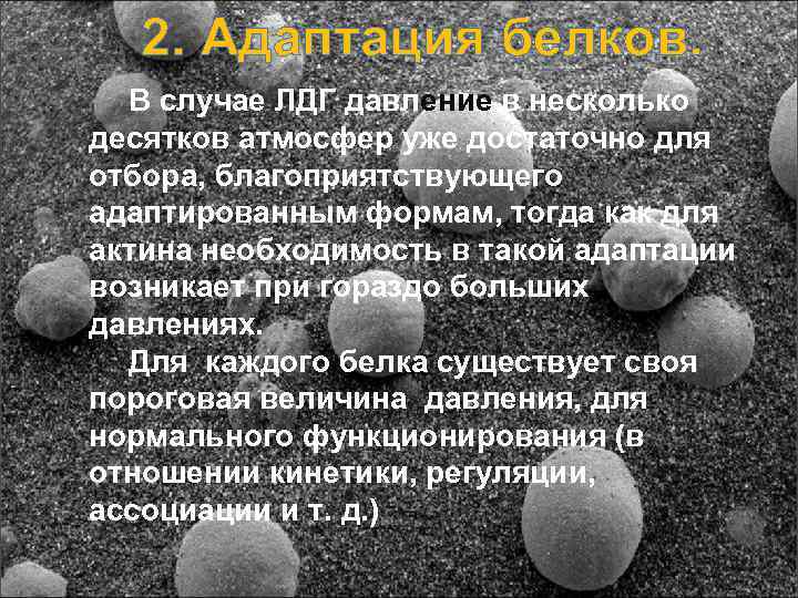   2. Адаптация белков.  В случае ЛДГ давление в несколько десятков атмосфер