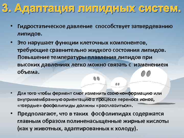 3. Адаптация липидных систем.  • Гидростатическое давление способствует затвердеванию  липидов.  •