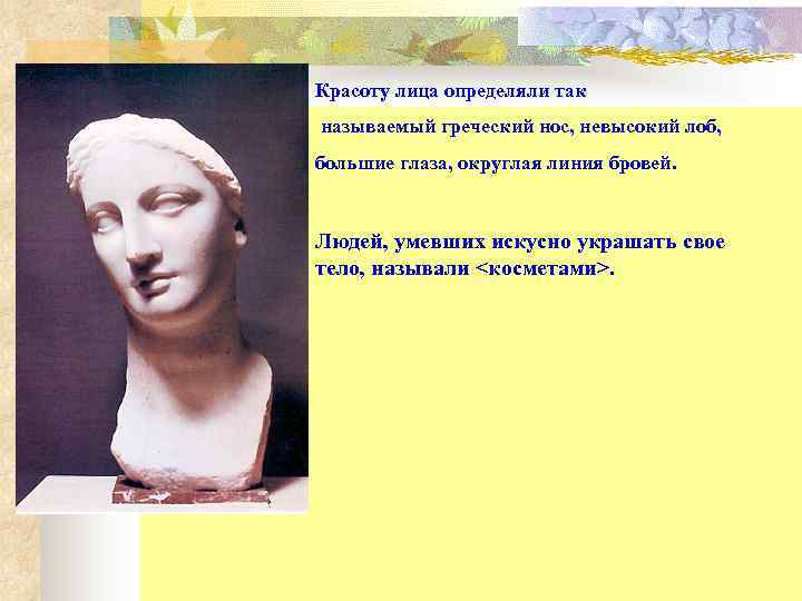Красоту лица определяли так называемый греческий нос, невысокий лоб,  большие глаза, округлая линия