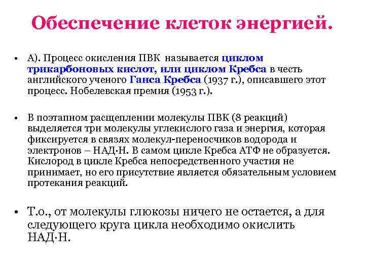   Обеспечение клеток энергией.  • А). Процесс окисления ПВК называется циклом 