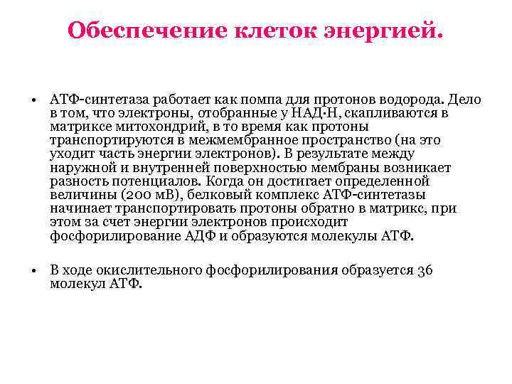  Обеспечение клеток энергией.  • АТФ-синтетаза работает как помпа для протонов водорода. Дело