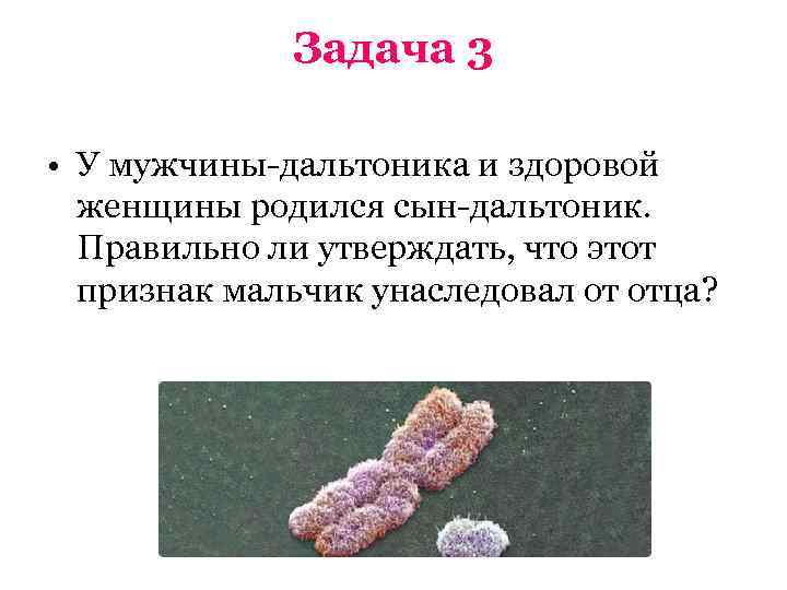    Задача 3  • У мужчины-дальтоника и здоровой  женщины родился