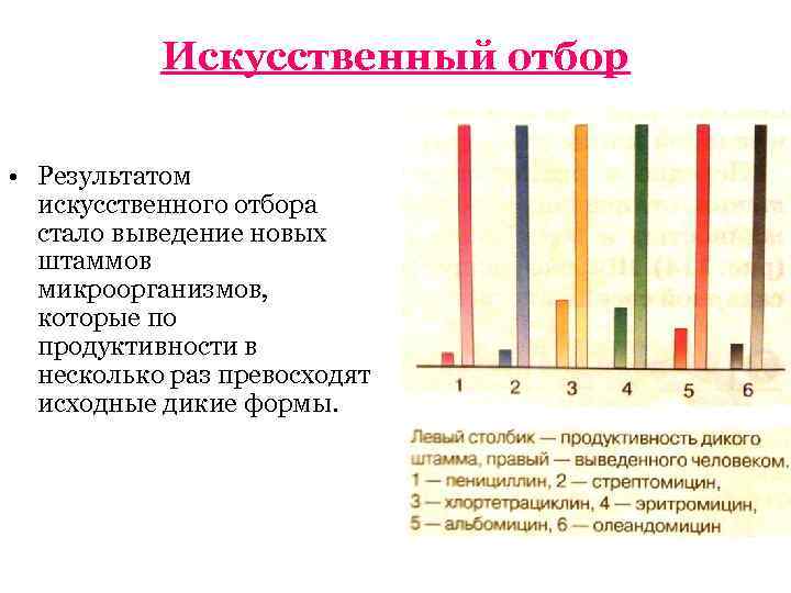 Результат искусственного