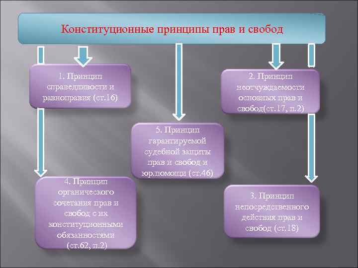   Конституционные принципы прав и свобод  1. Принцип    