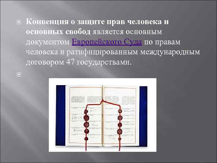   Конвенция о защите прав человека и основных свобод является основным документом Европейского
