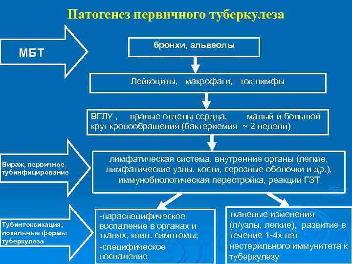 Фтизиатрия в схемах и таблицах