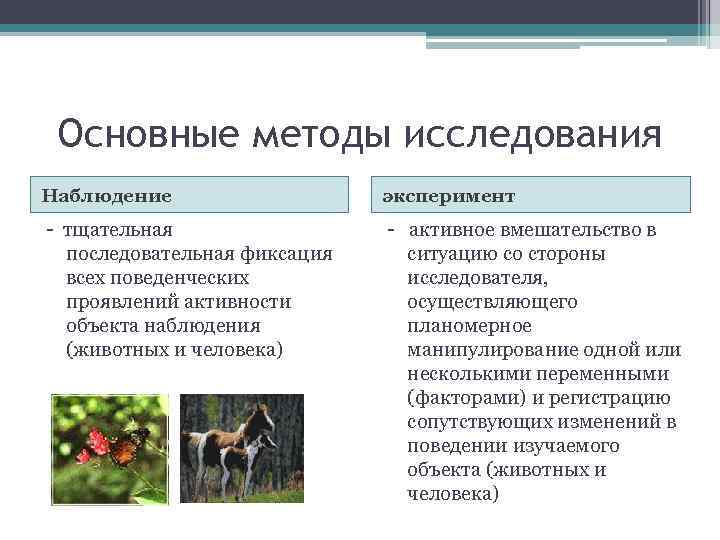  Основные методы исследования Наблюдение     эксперимент - тщательная  