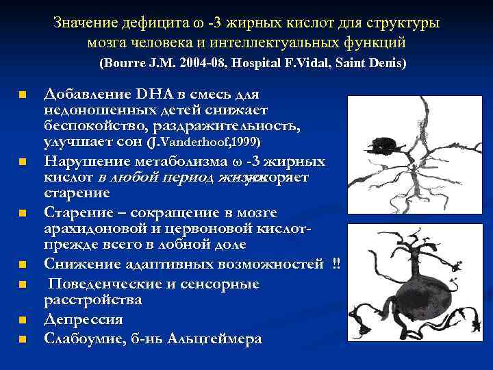  Значение дефицита ω -3 жирных кислот для структуры   мозга человека и