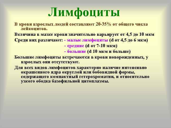    Лимфоциты В крови взрослых людей составляют 20 -35% от общего числа