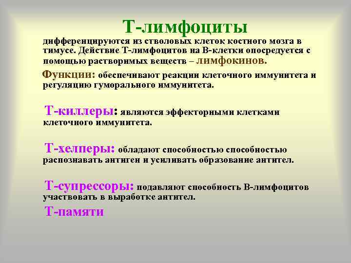    Т-лимфоциты дифференцируются из стволовых клеток костного мозга в тимусе. Действие