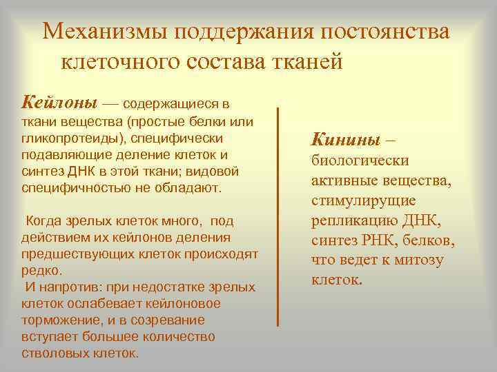  Механизмы поддержания постоянства  клеточного состава тканей Кейлоны — содержащиеся в ткани вещества