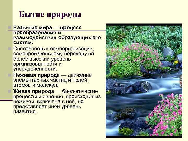   Бытие природы n Развитие мира — процесс  преобразования и  взаимодействия