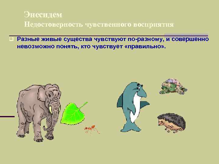   Энесидем Недостоверность чувственного восприятия q Разные живые существа чувствуют по-разному, и совершенно