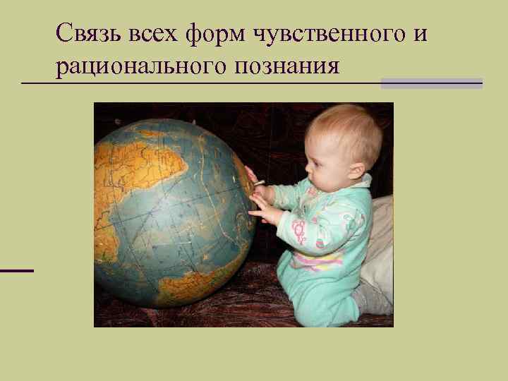 Связь всех форм чувственного и рационального познания 