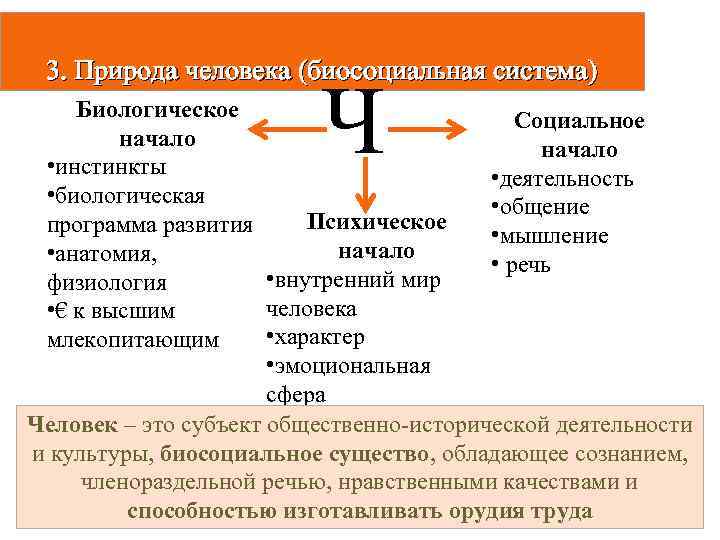  3. Природа человека (биосоциальная система) Биологическое   начало  • инстинкты 