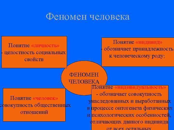     Феномен человека    Понятие «индивид» Понятие «личность» 