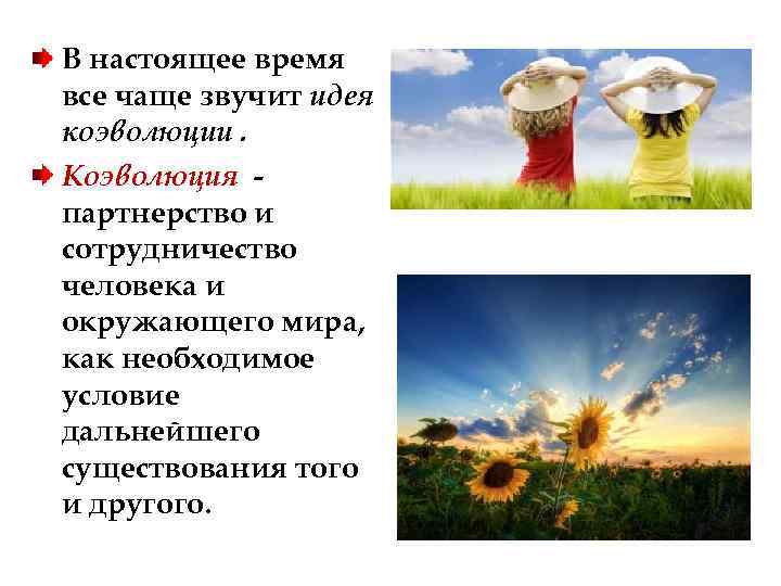 В настоящее время все чаще звучит идея коэволюции. Коэволюция - партнерство и сотрудничество человека