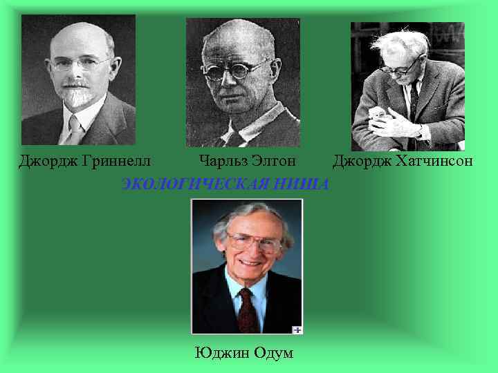 Джордж Гриннелл  Чарльз Элтон Джордж Хатчинсон  ЭКОЛОГИЧЕСКАЯ НИША    Юджин