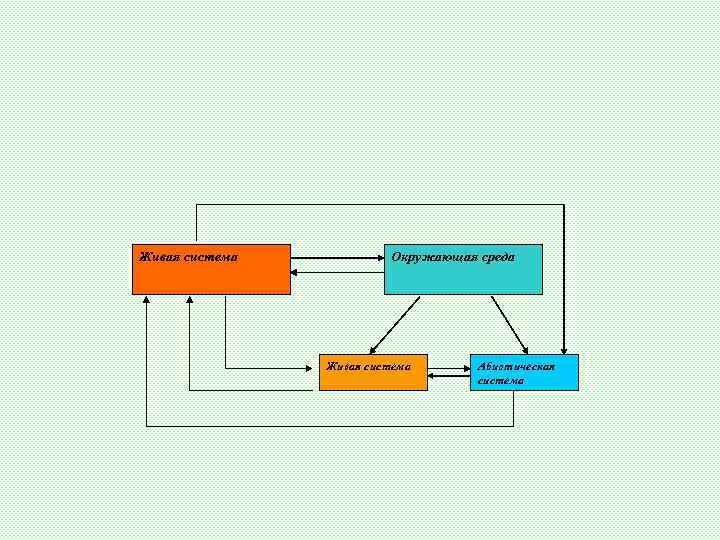   Живая система   Окружающая среда     Живая система