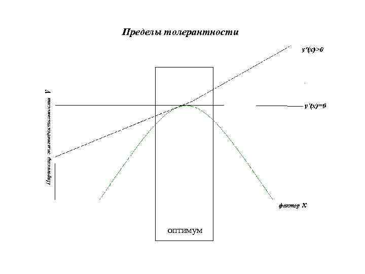 Пределы толерантности   оптимум 