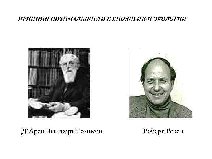 ПРИНЦИП ОПТИМАЛЬНОСТИ В БИОЛОГИИ И ЭКОЛОГИИ Д’Арси Вентворт Томпсон   Роберт Розен 