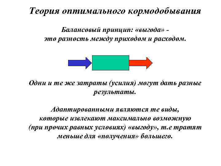 Теория оптимального кормодобывания   Балансовый принцип:  «выгода» - это разность между приходом