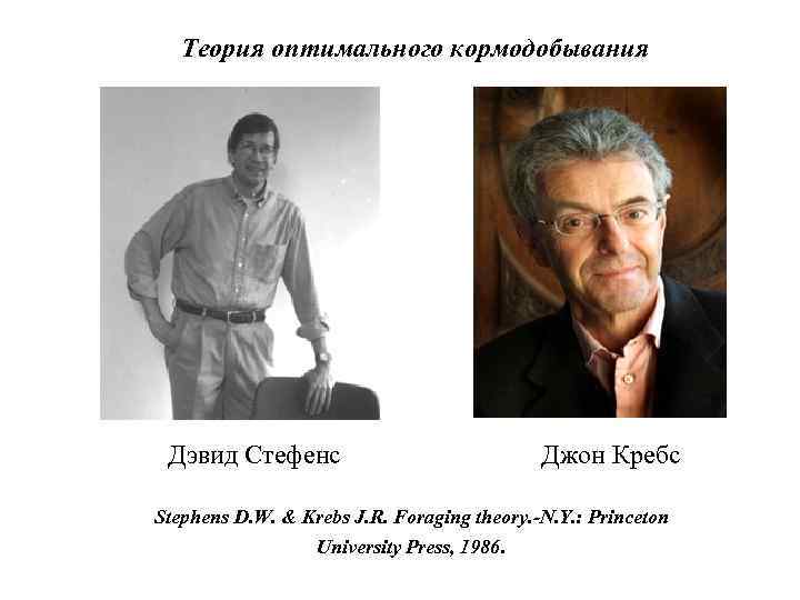   Теория оптимального кормодобывания Дэвид Стефенс     Джон Кребс Stephens