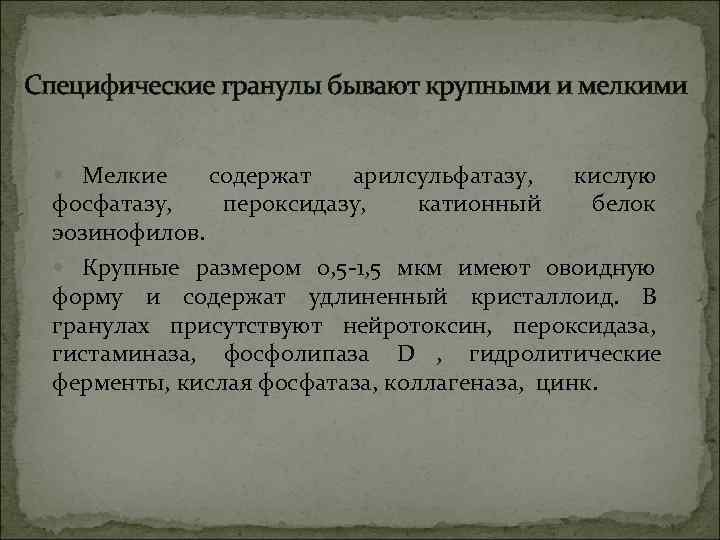 Специфические гранулы бывают крупными и мелкими Мелкие  содержат арилсульфатазу,  кислую  фосфатазу,