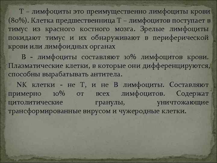   Т – лимфоциты это преимущественно лимфоциты крови (80%). Клетка предшественница Т –