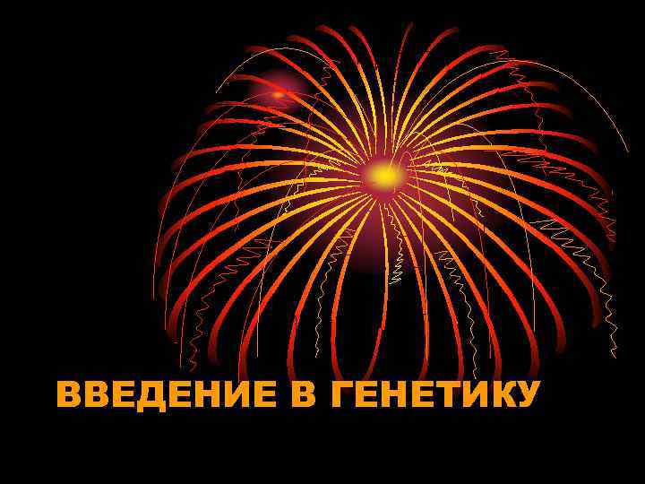 ВВЕДЕНИЕ В ГЕНЕТИКУ ВВЕДЕНИЕ В ГЕНЕТИКУ