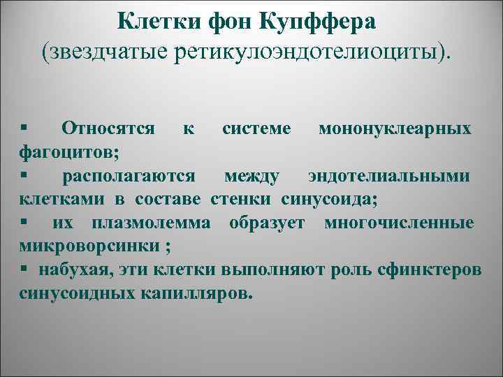    Клетки фон Купффера  (звездчатые ретикулоэндотелиоциты).  §  Относятся к
