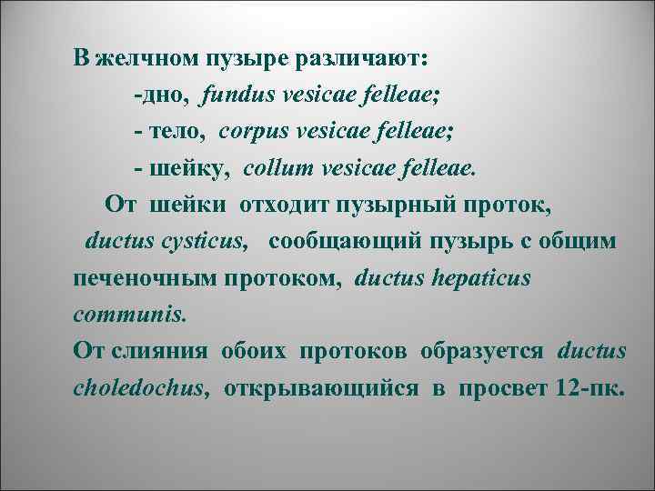 В желчном пузыре различают:   -дно,  fundus vesicae felleae;  - тело,