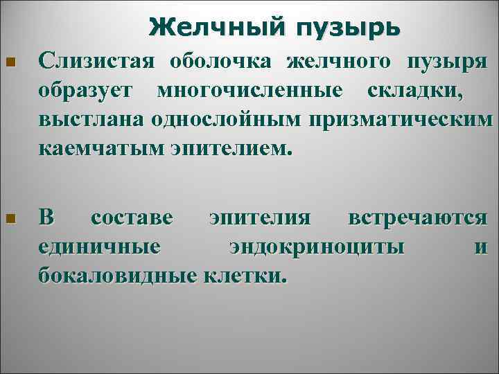    Желчный пузырь n  Слизистая оболочка желчного пузыря образует многочисленные складки,