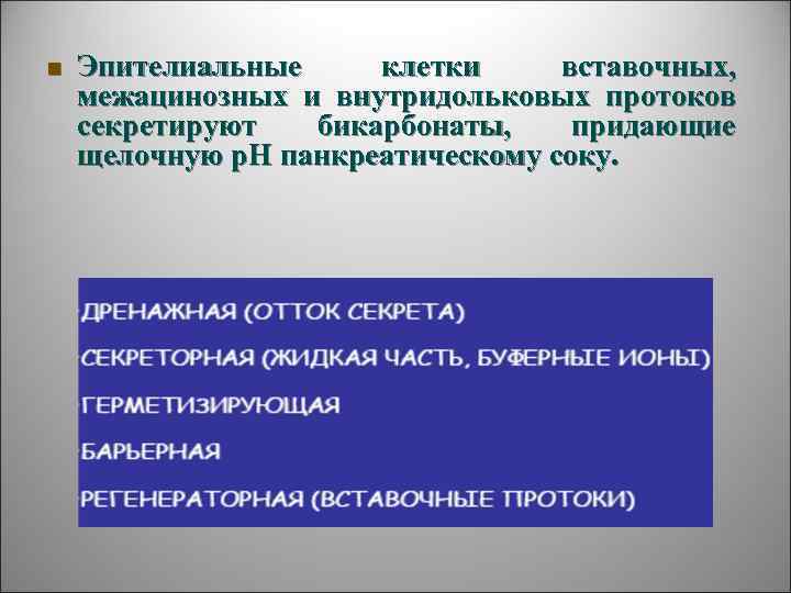 n  Эпителиальные  клетки  вставочных,  межацинозных и внутридольковых протоков секретируют 