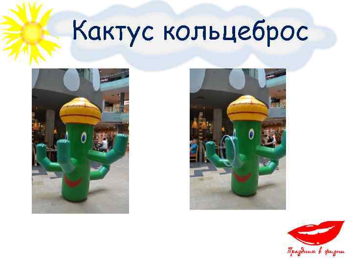 Кактус кольцеброс 