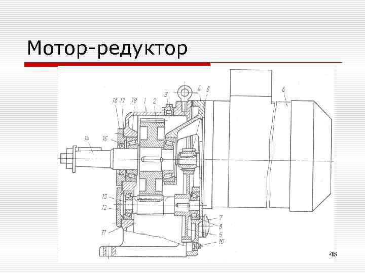 Мотор-редуктор     48 