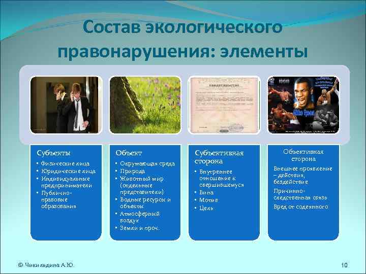 Состав экологического правонарушения: элементы Субъекты Объект Состав экологического правонарушения: элементы Субъекты Объект