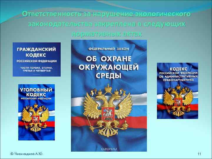 Ответственность за нарушение экологического законодательства закреплена в следующих нормативных Ответственность за нарушение экологического законодательства закреплена в следующих нормативных