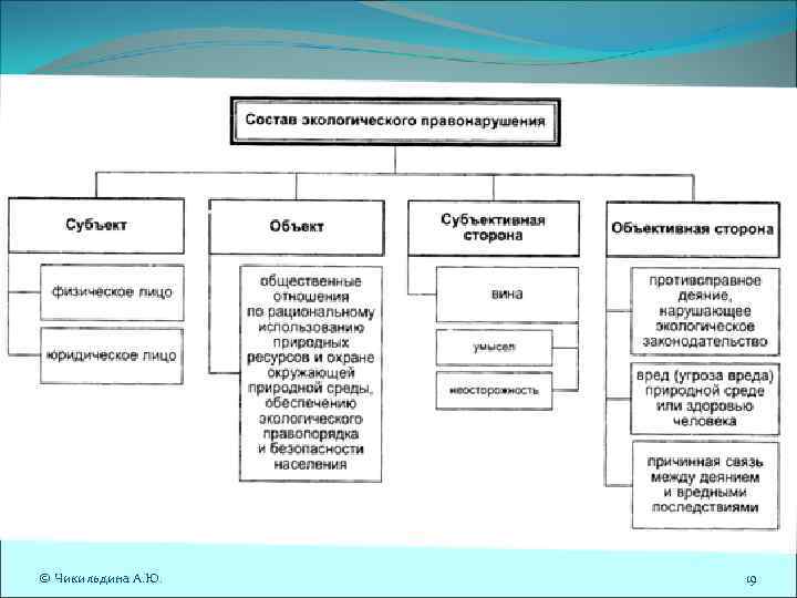 © Чикильдина А. Ю. 19 © Чикильдина А. Ю. 19