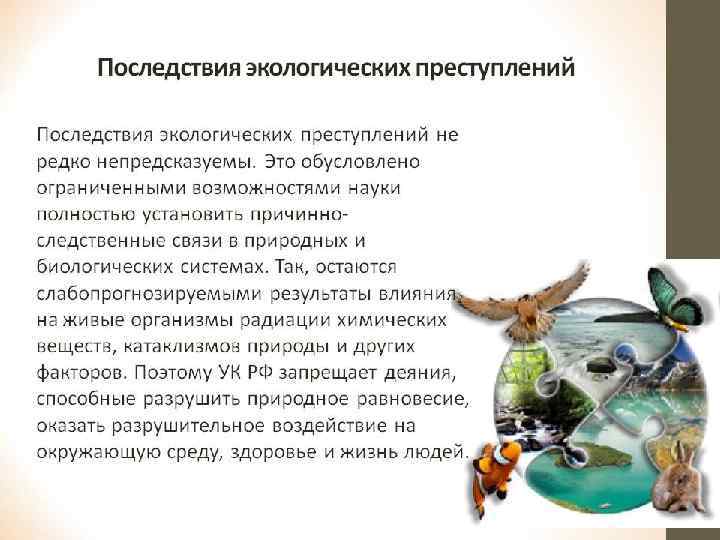 © Чикильдина А. Ю. 20 © Чикильдина А. Ю. 20