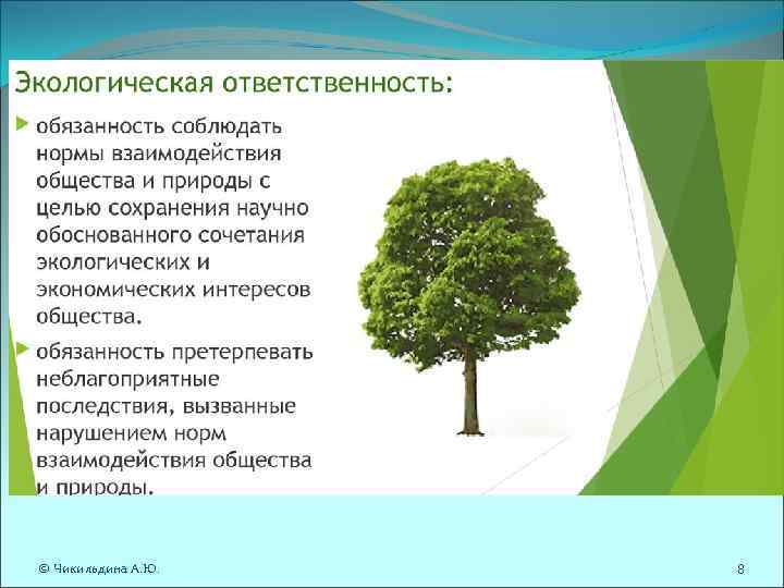 © Чикильдина А. Ю. 8 © Чикильдина А. Ю. 8