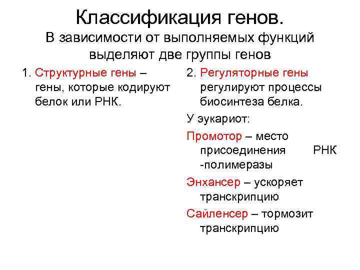    Классификация генов. В зависимости от выполняемых функций  выделяют две группы