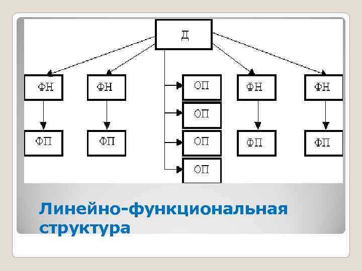 Линейно-функциональная структура 